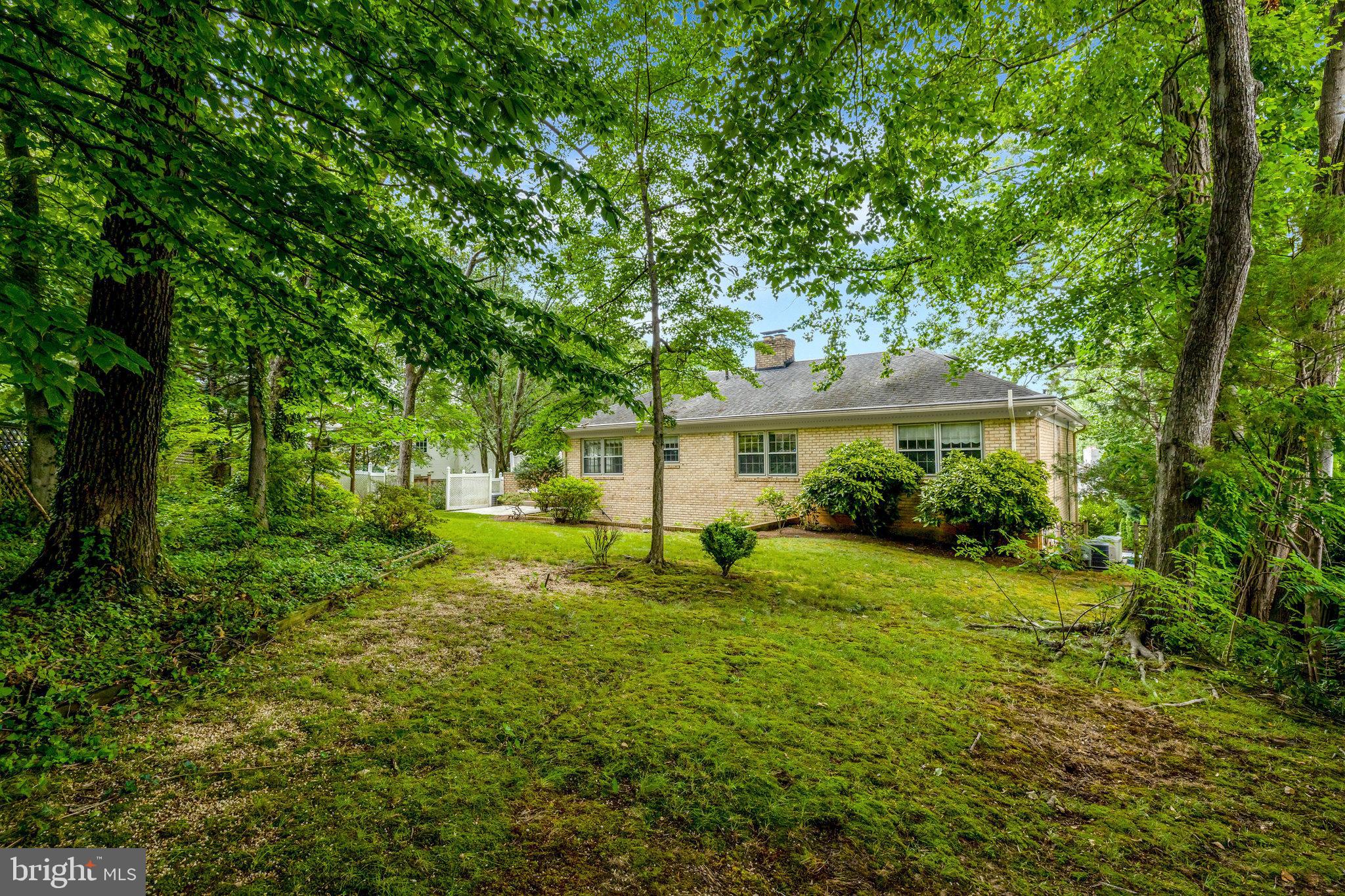 CHAIN BRIDGE WOODS - Residential