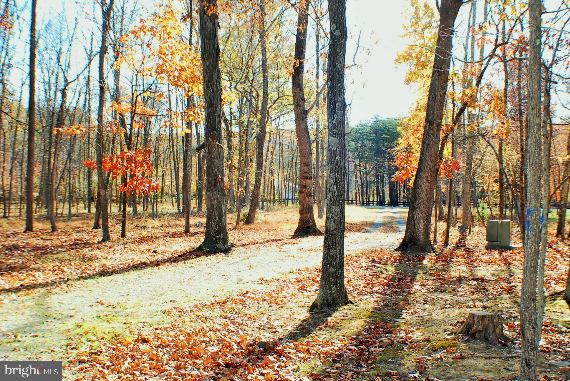 DILLONS RUN ESTATES - Residential