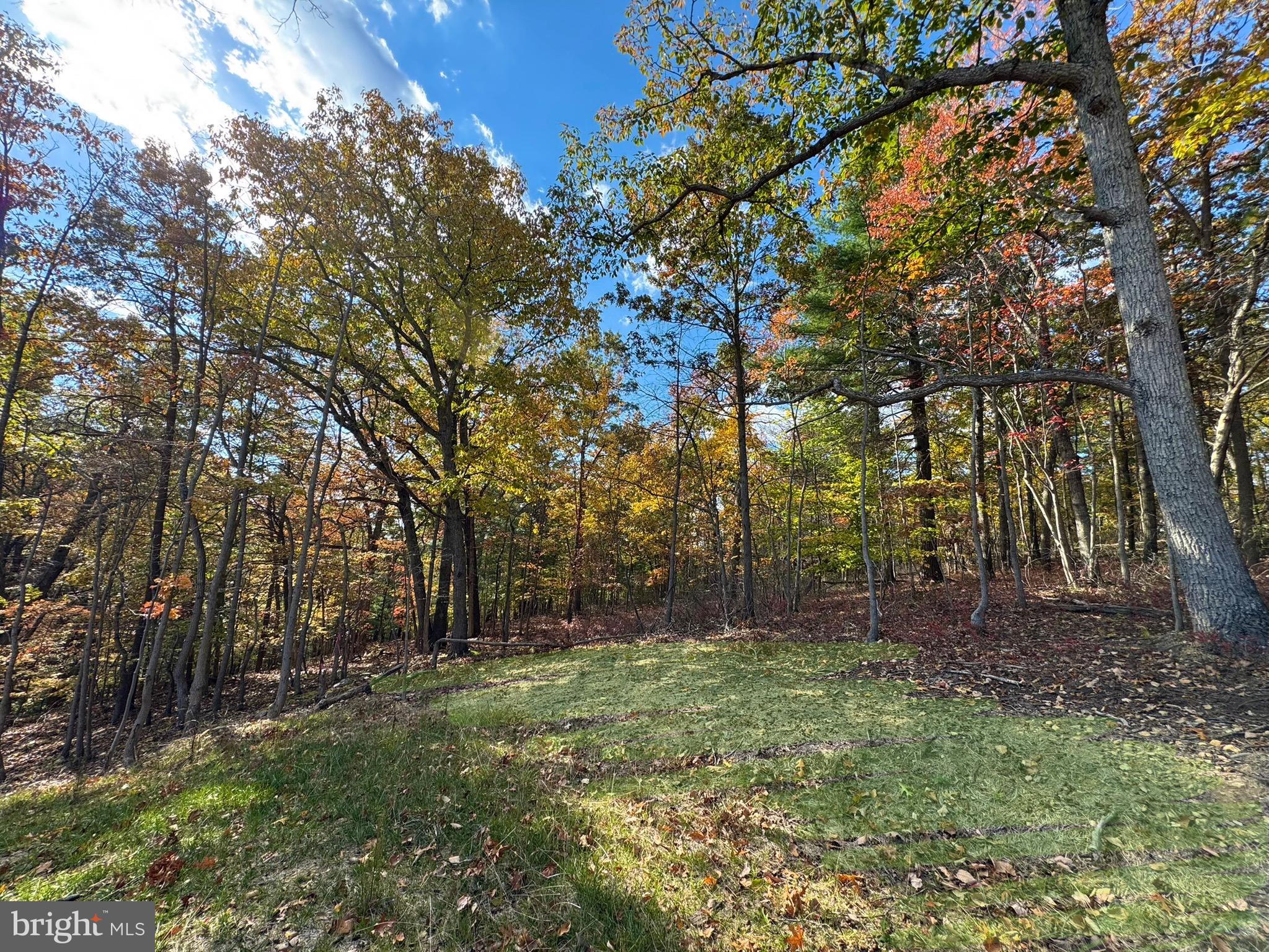 SHENANDOAH FARMS - Residential