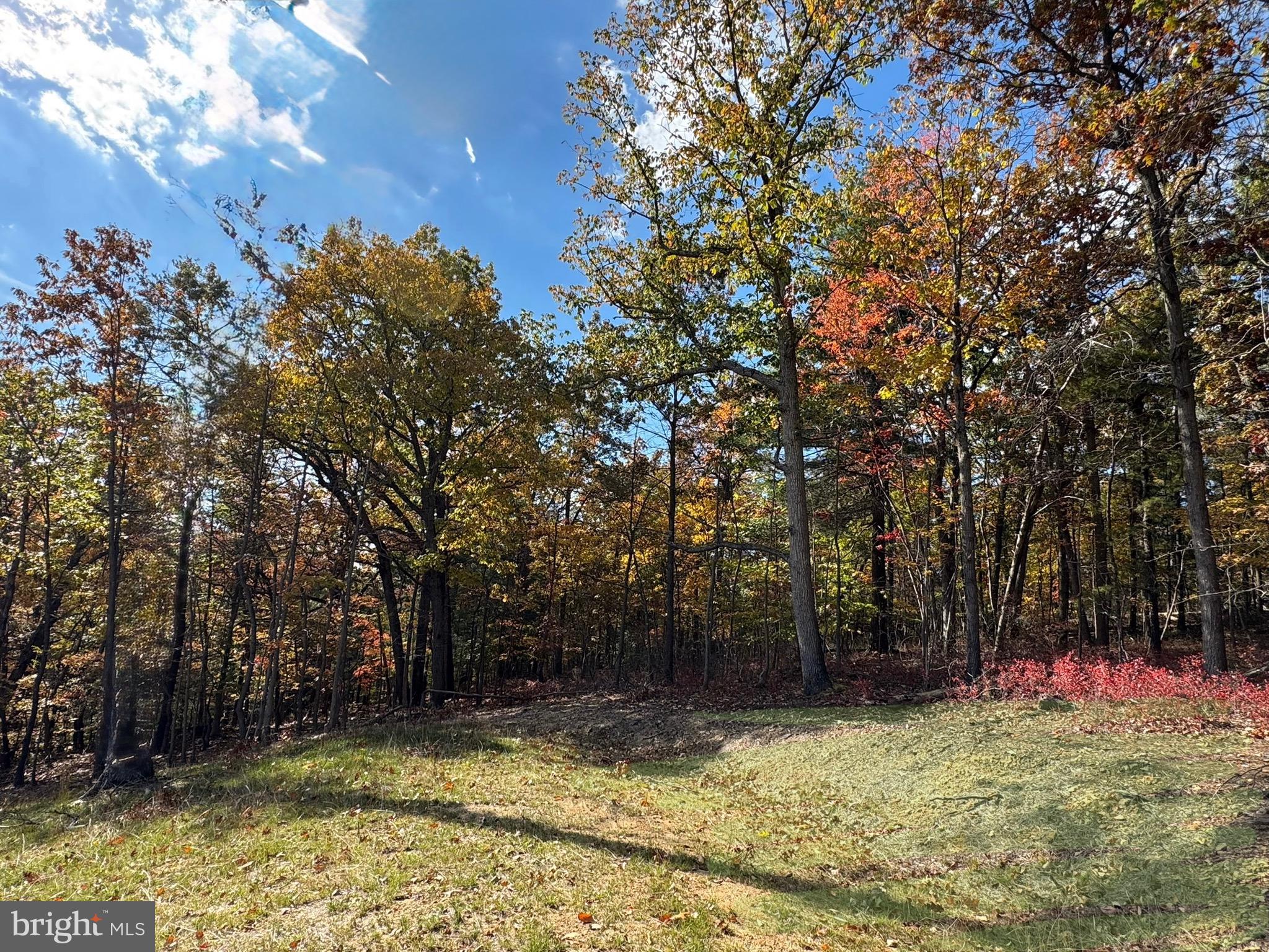 SHENANDOAH FARMS - Residential