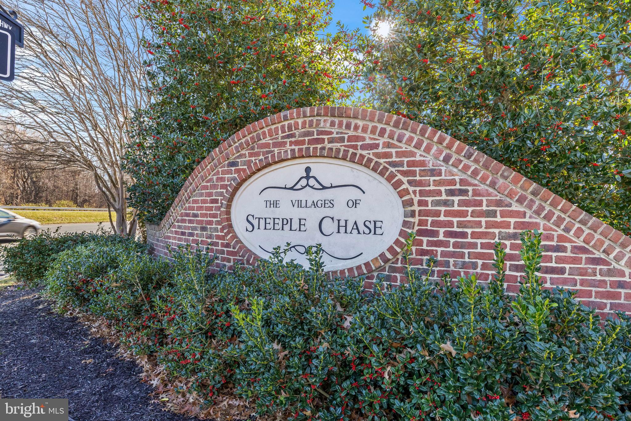 THE VILLAGES OF STEEPLECHASE - Residential