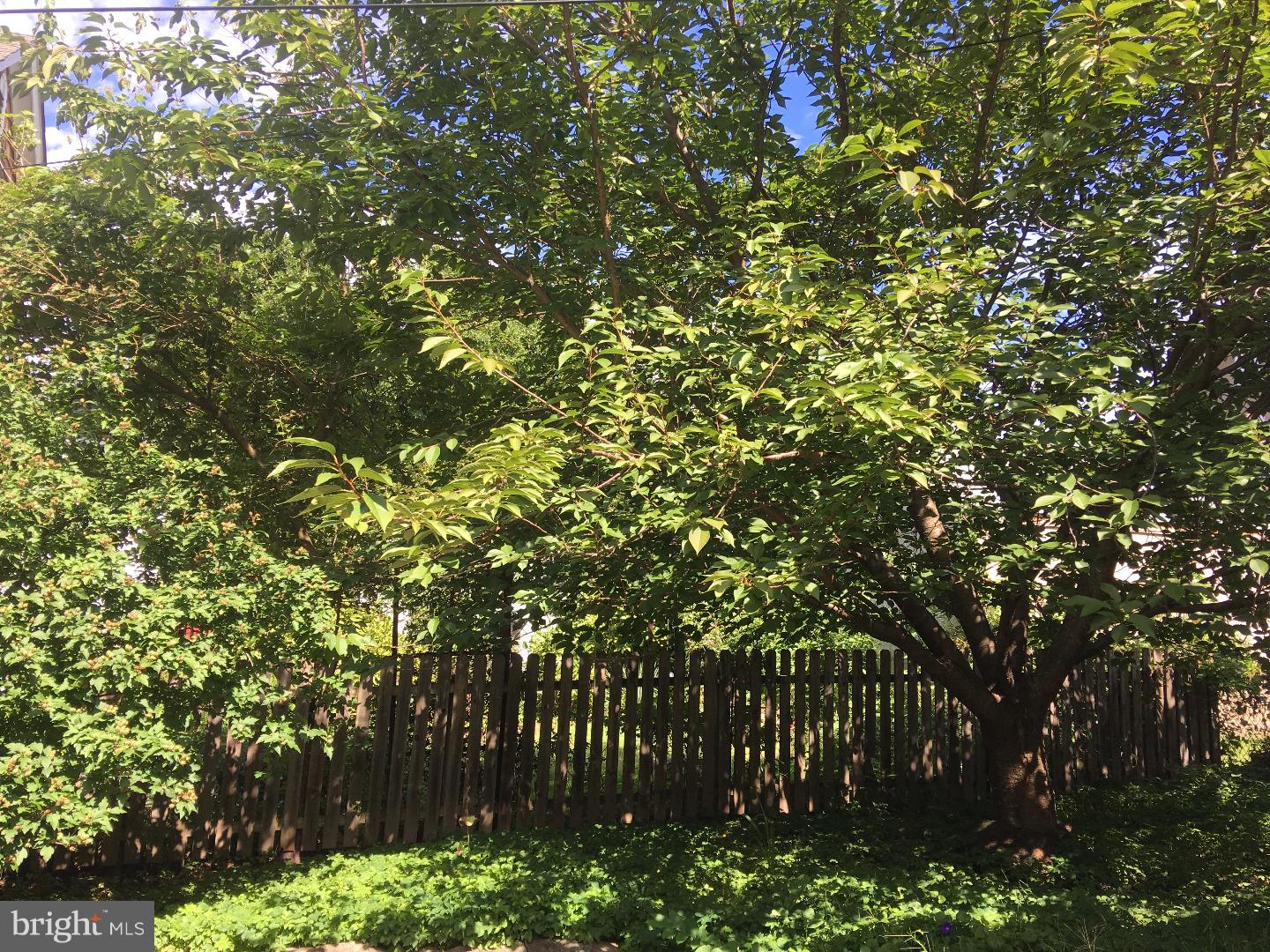 NARBERTH - Residential