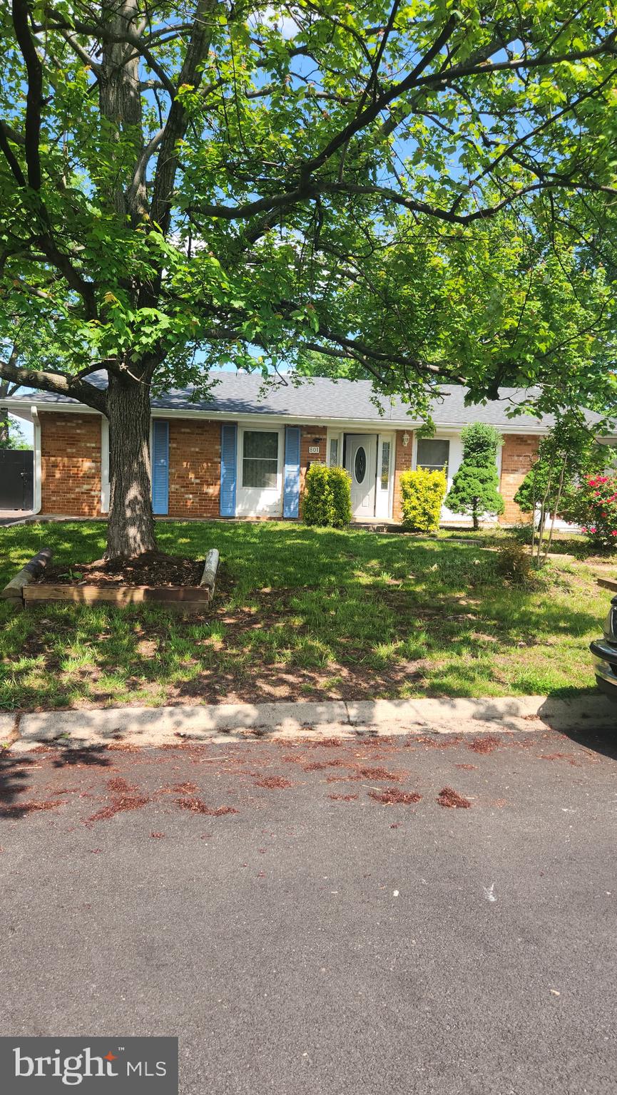 801 S GREENTHORN AVENUE