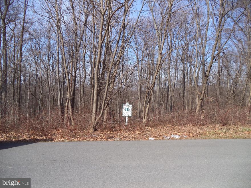 Beautiful 5. 04 acre building lot in upscale subdivision with Potomac River access. Near Harpers Ferry, Northern Virginia,  Charles Town Racing and Casino ,  Rt7 and Rt 340.