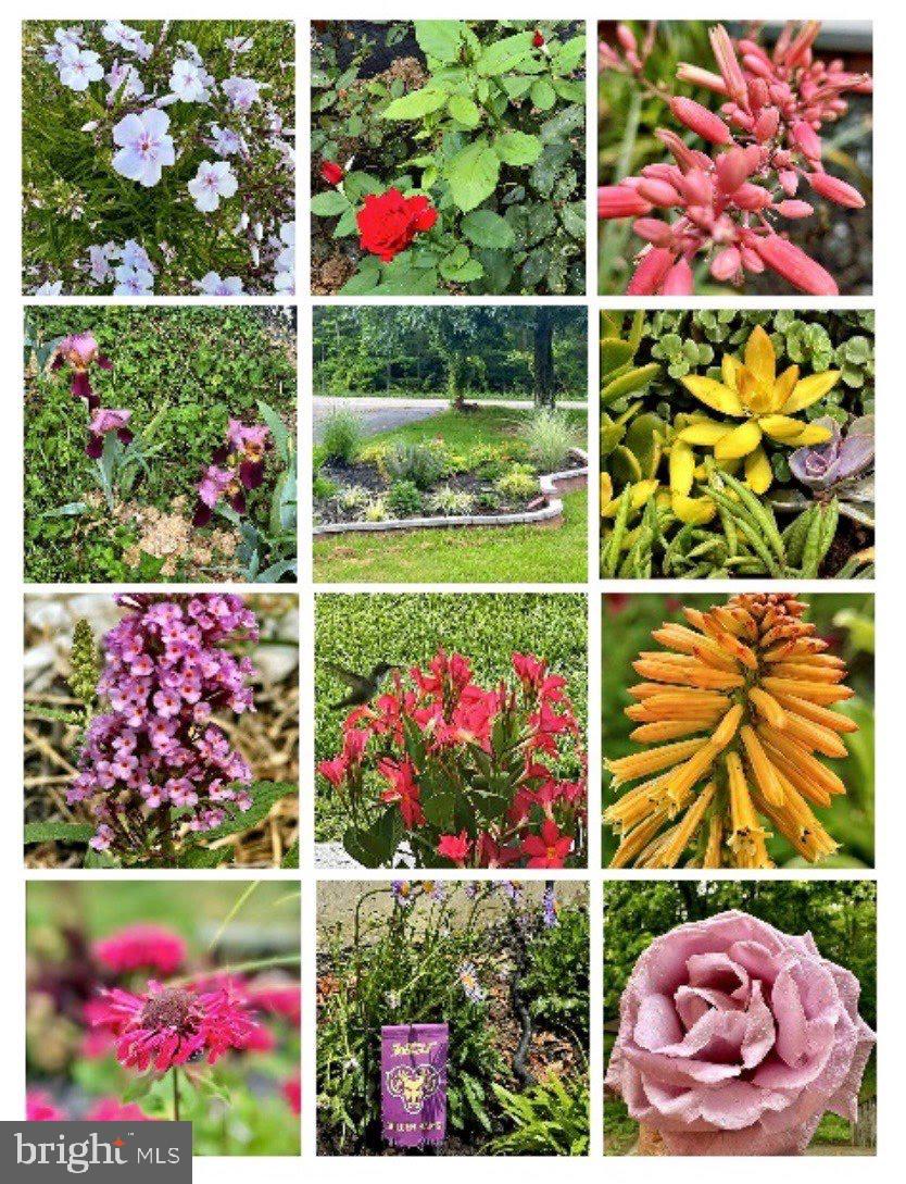 ELK RIVER BASIN - Residential