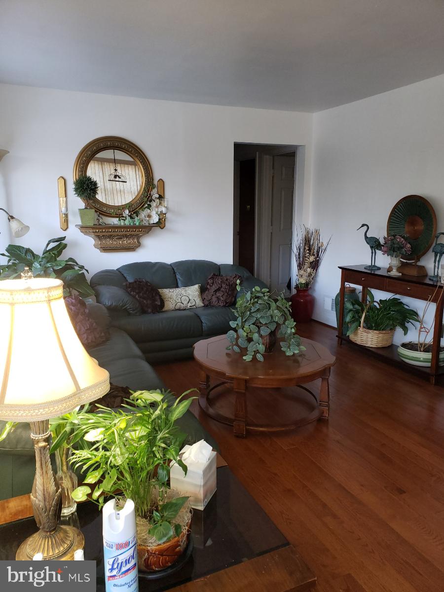 RADIANT VALLEY - Residential