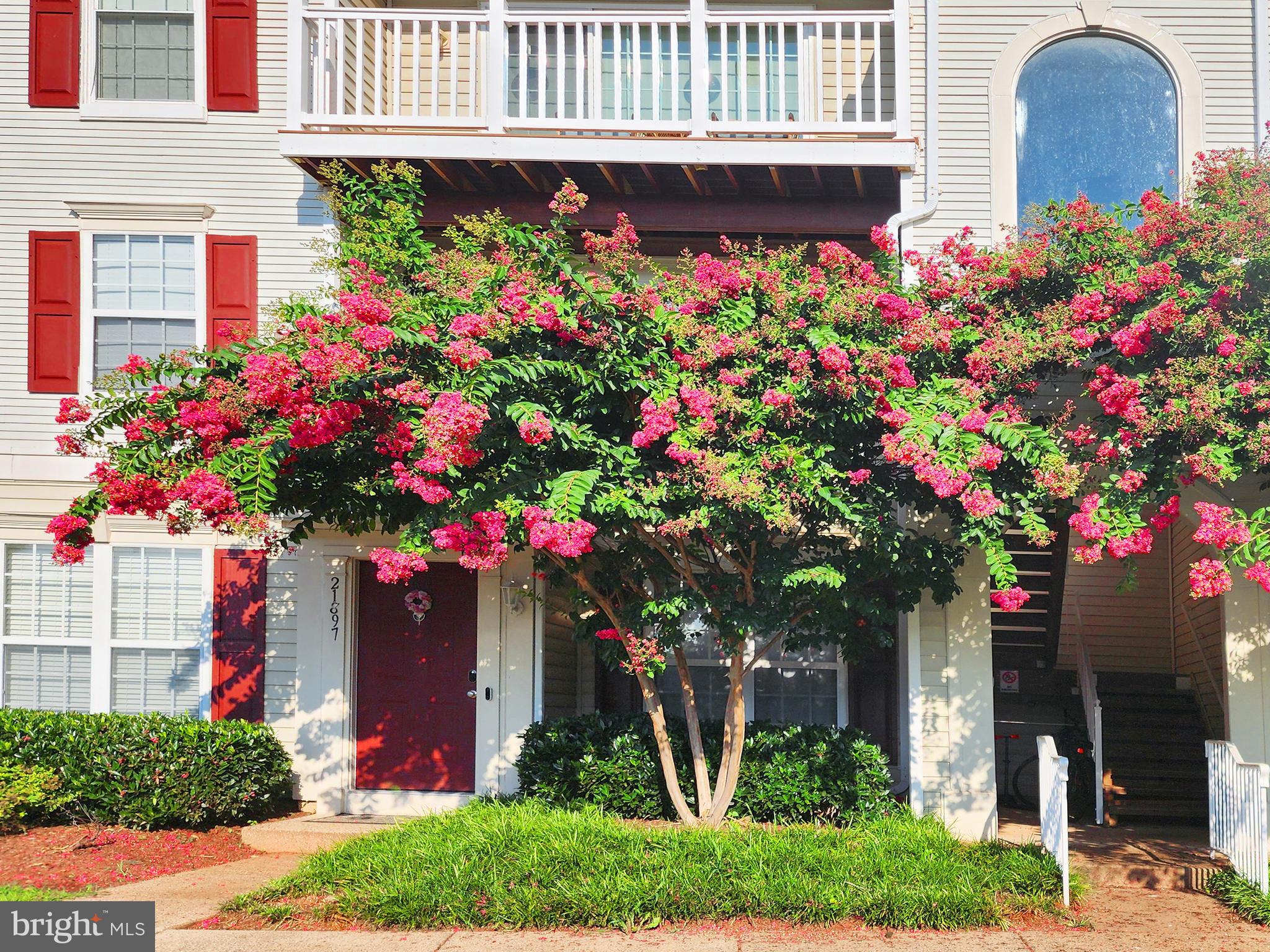 DOMINION STATION CONDOMINIUM - Residential