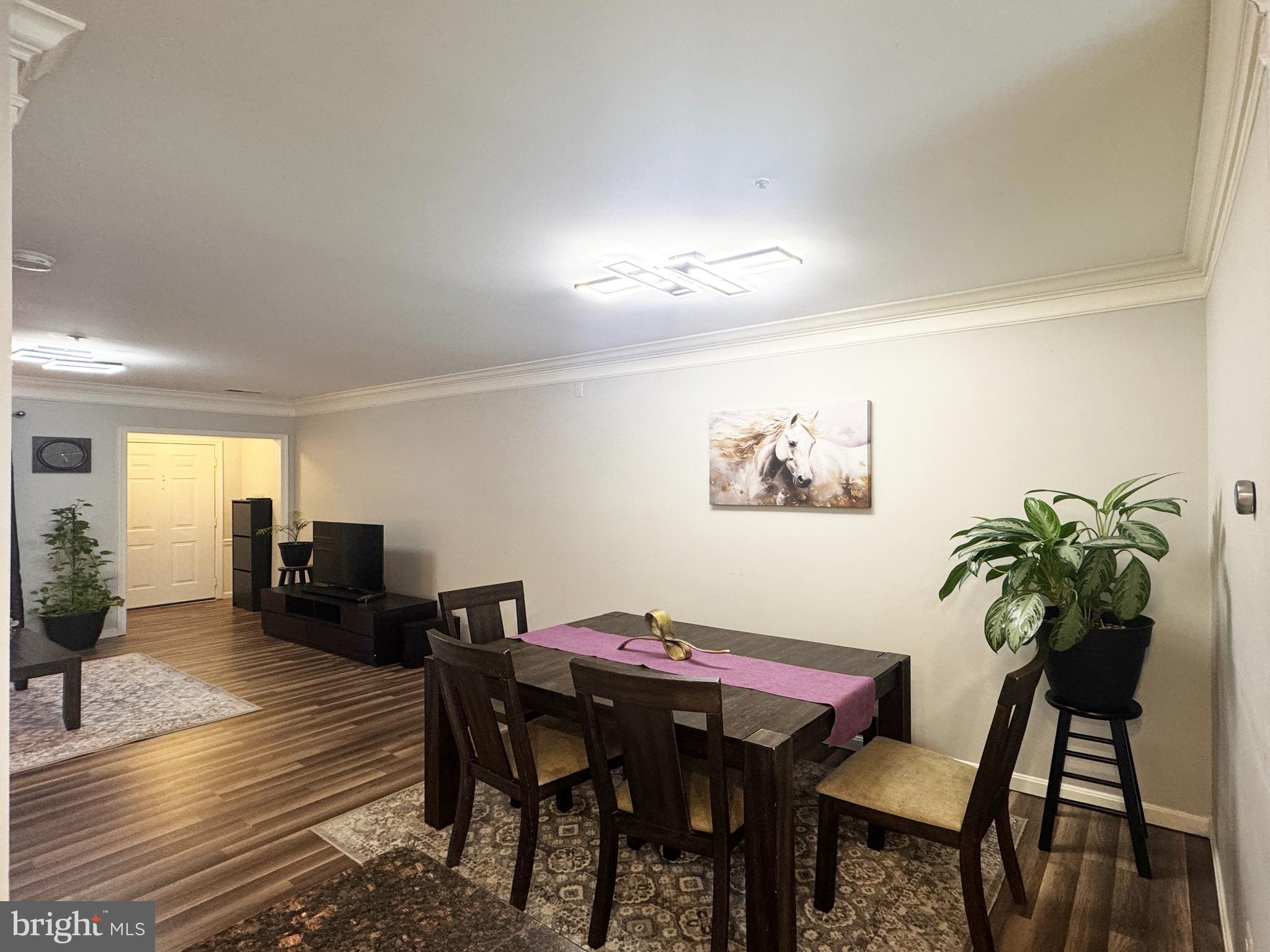 DOMINION STATION CONDOMINIUM - Residential