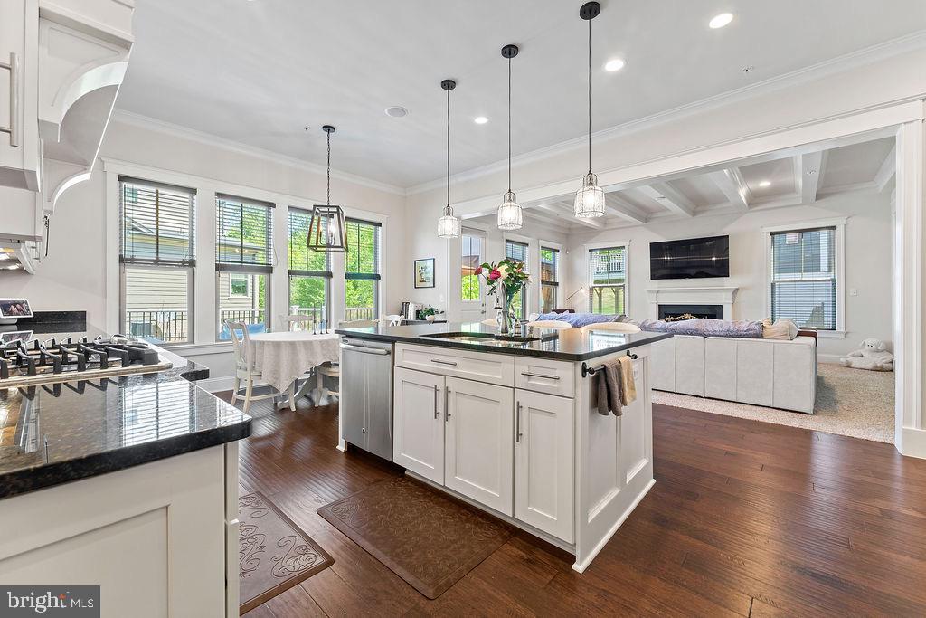 POTOMAC SHORES - Residential