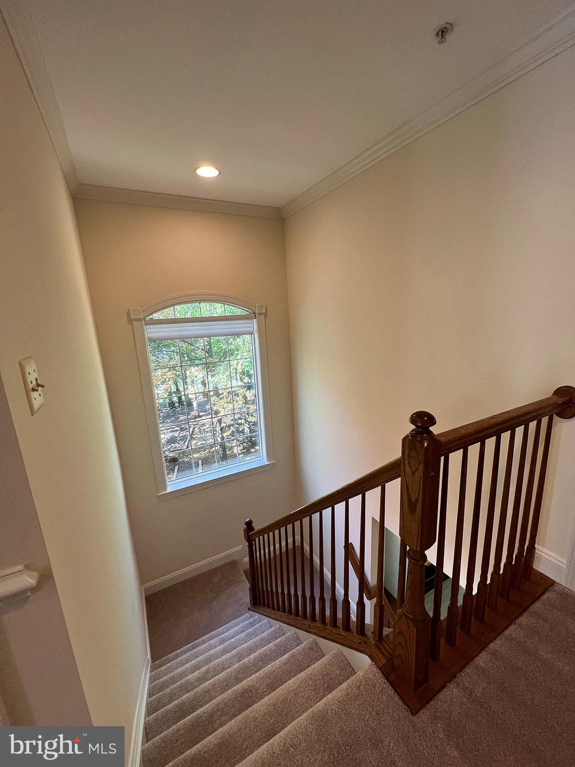 TUCKERMAN HEIGHTS - Residential Lease