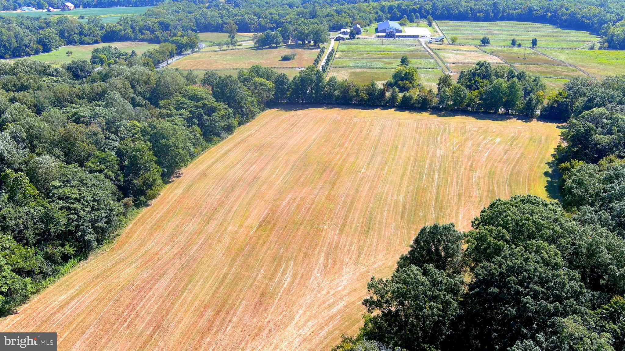 NONE AVAILABLE - Farm