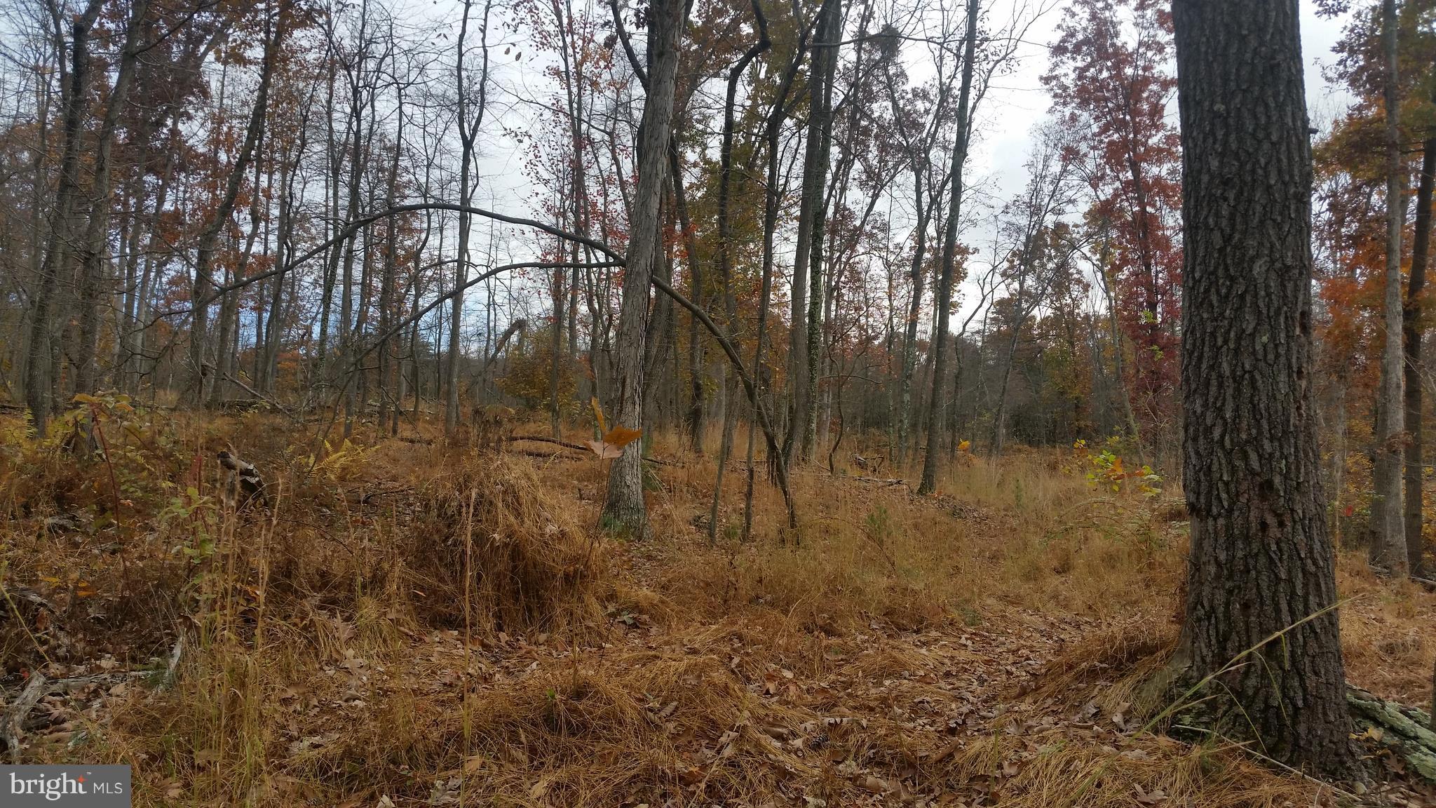 SPRING VALLEY - Land