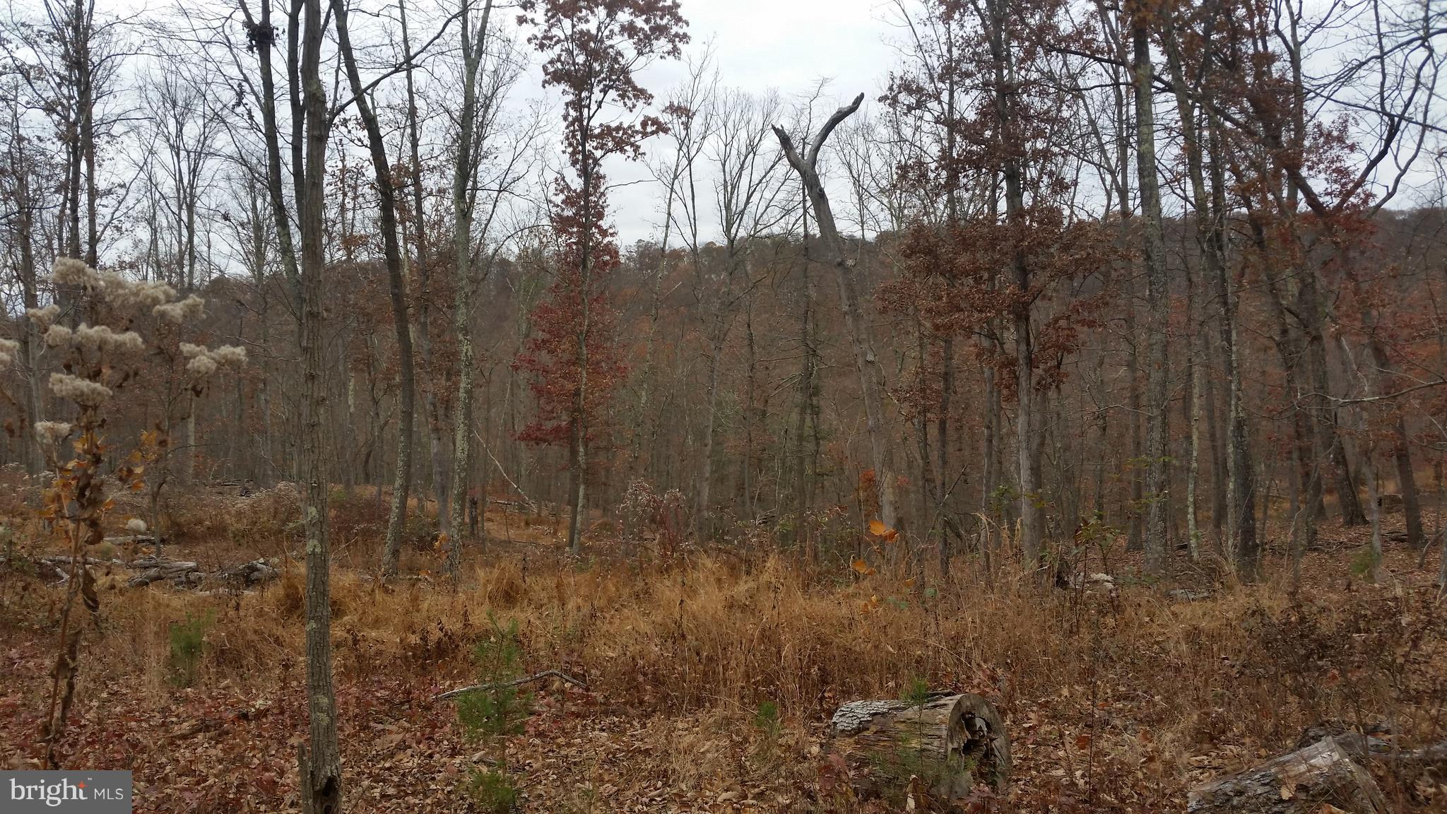 SPRING VALLEY - Land