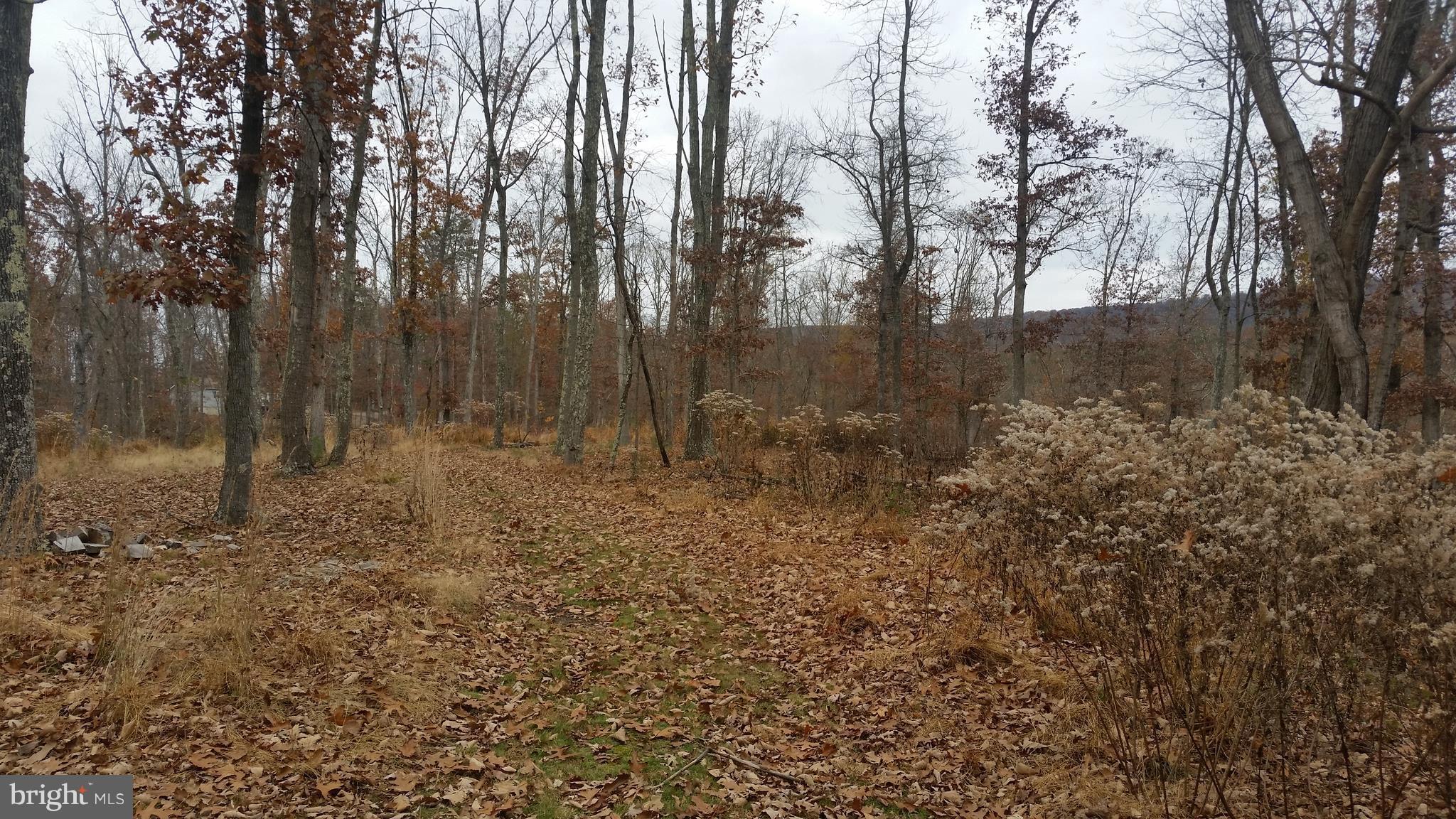 SPRING VALLEY - Land