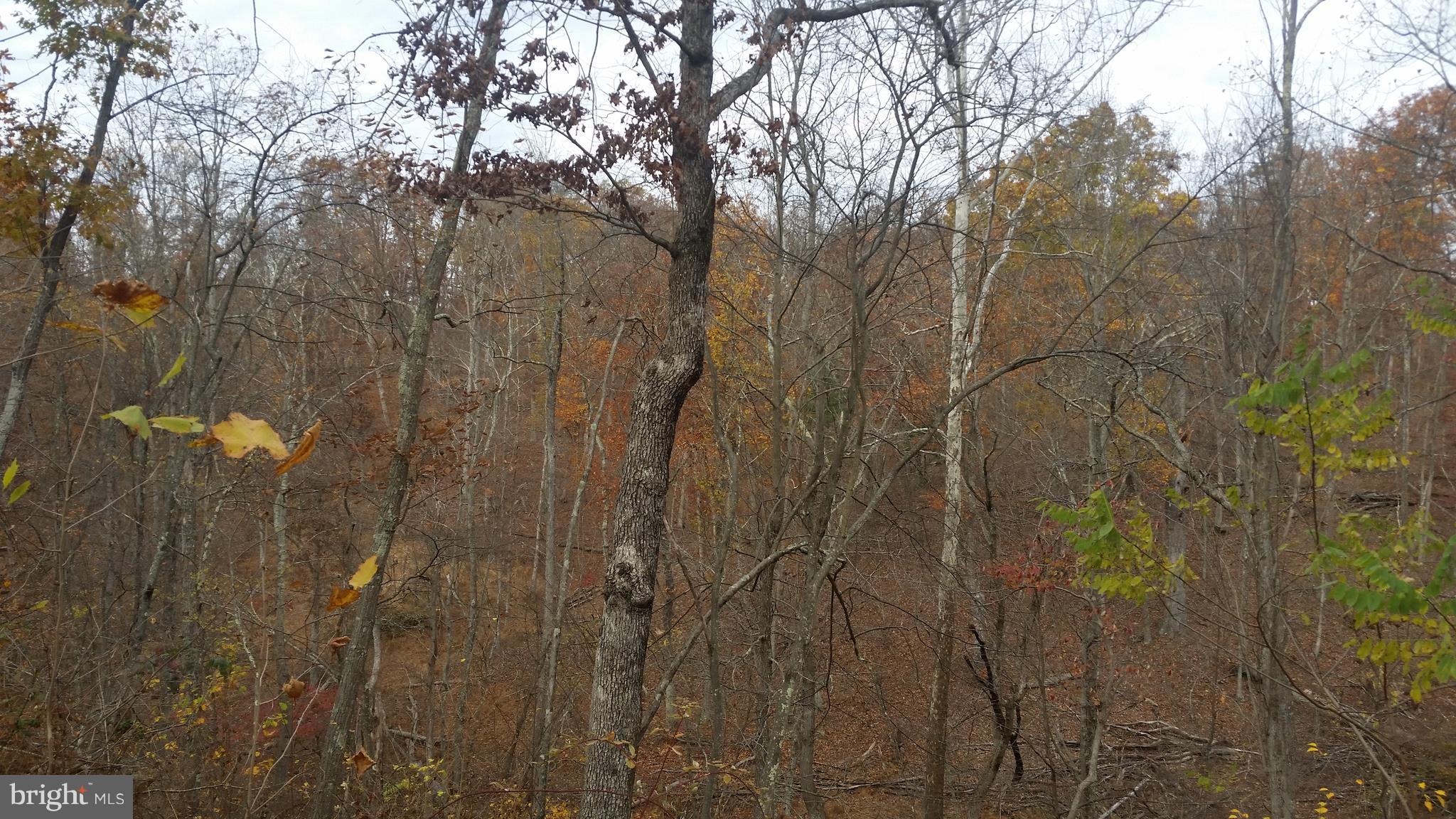 SPRING VALLEY - Land