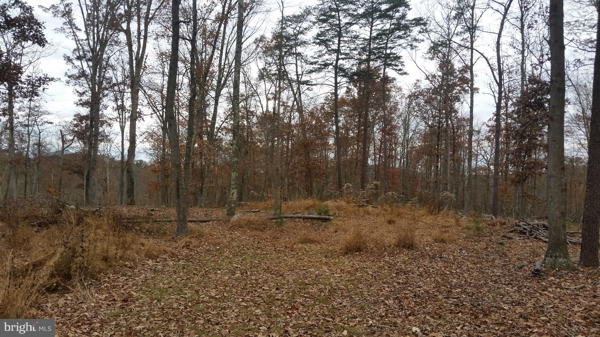 SPRING VALLEY - Land