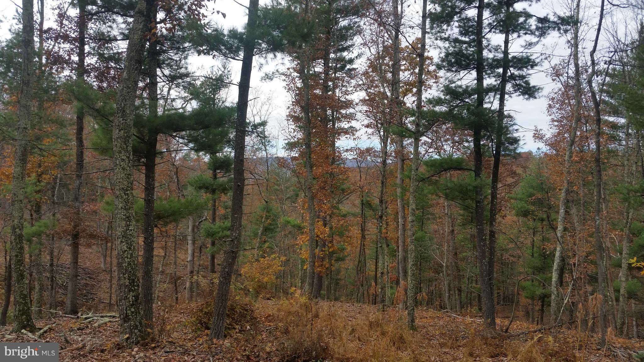 SPRING VALLEY - Land