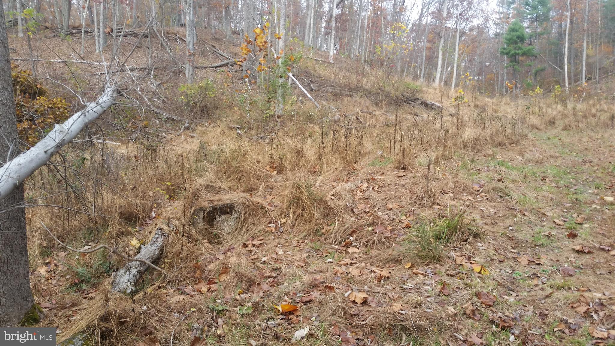 SPRING VALLEY - Land