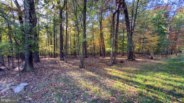 37 LT HOOPER RD, MILFORD, NJ 08848 - Image 2b632b394d84af2d2fb9b91ef067e3b7/2003759943