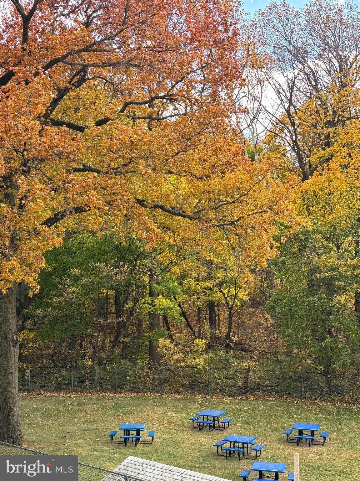 WYNNEFIELD HEIGHTS - Residential