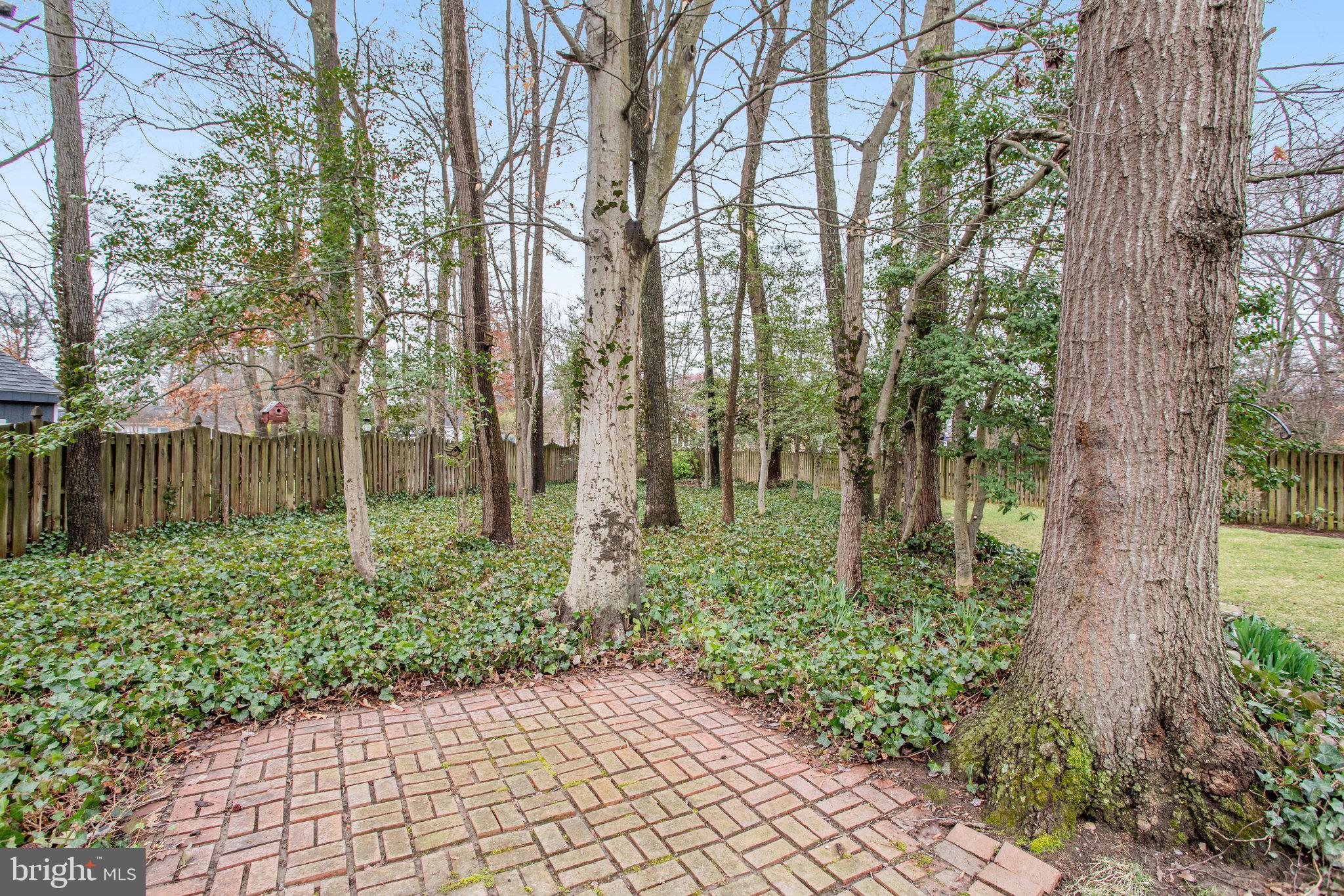 COLLINGWOOD SPRINGS - Residential