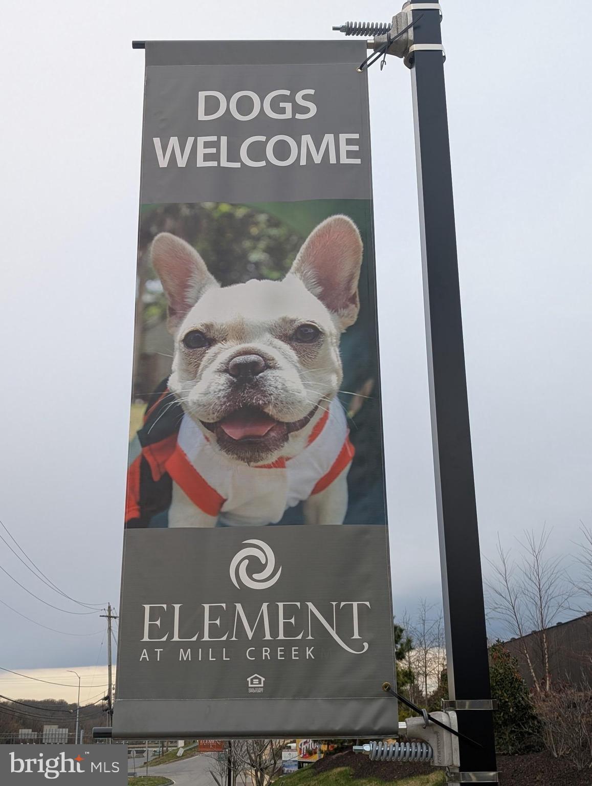 ELEMENT AT MILL CREEK - Residential