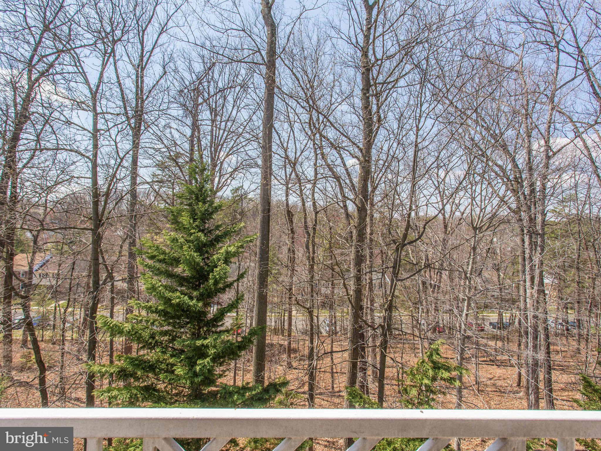 FOUNDERS WALK - Residential