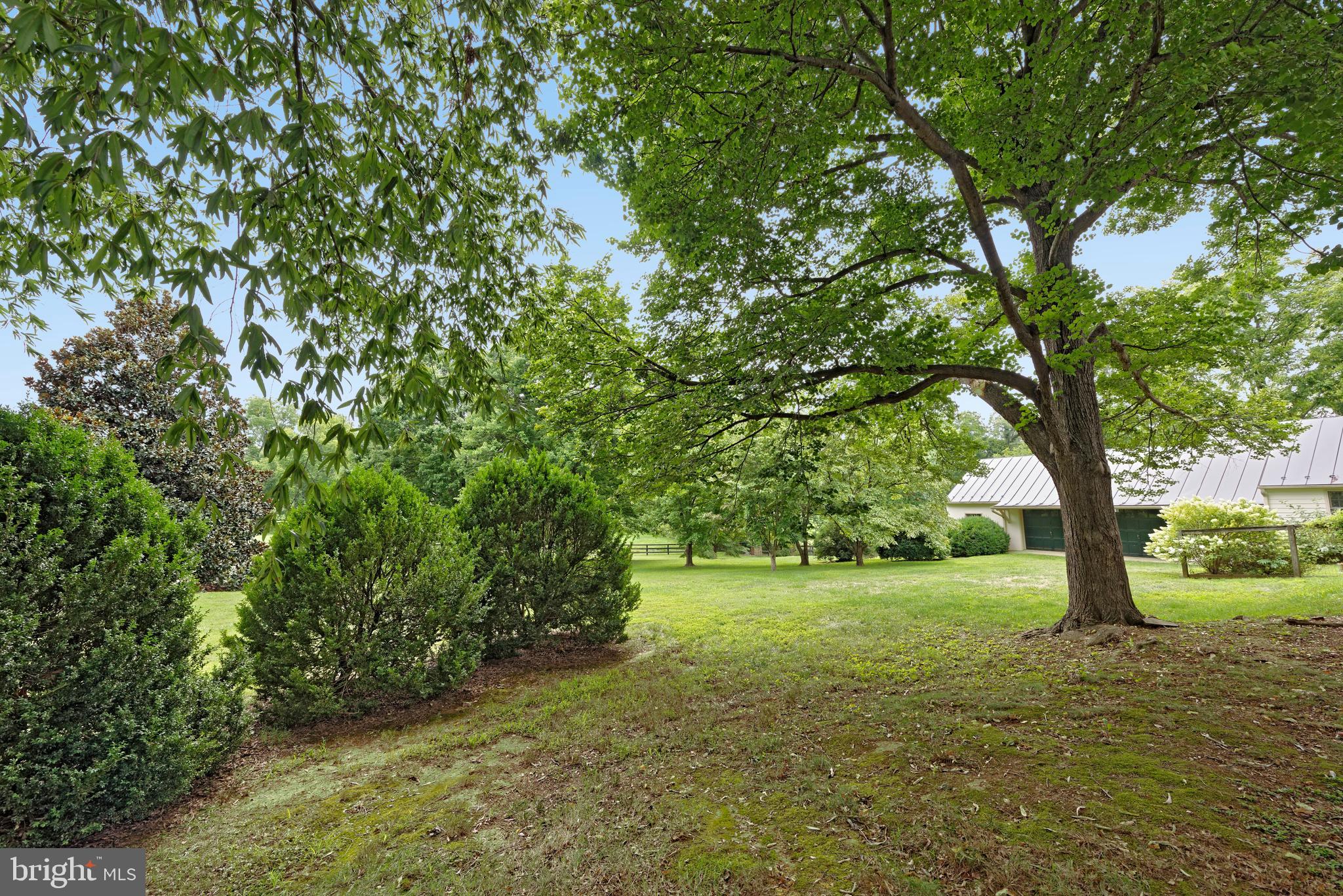 MIDDLEBURG - Residential