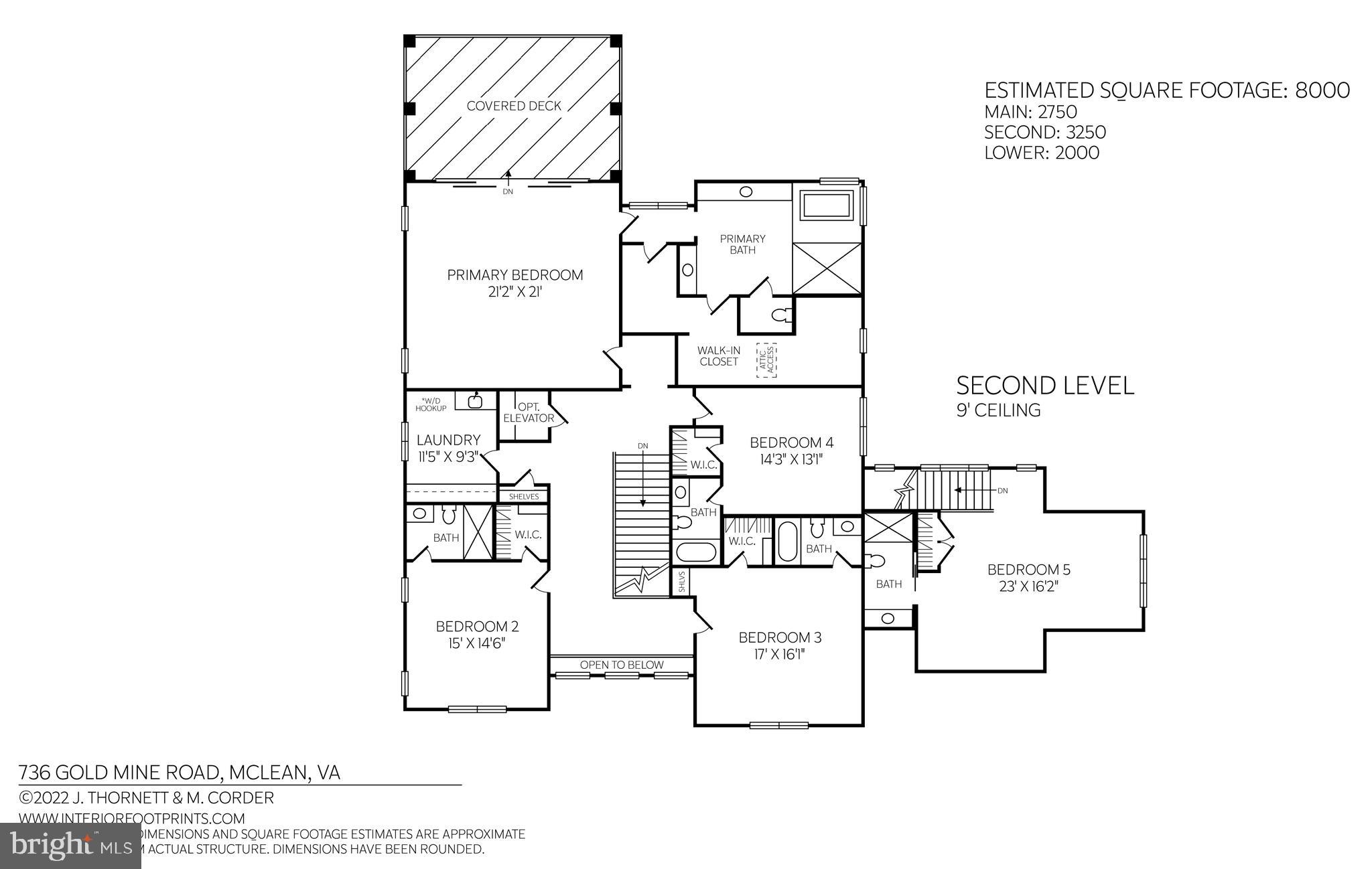 BULL NECK - Residential
