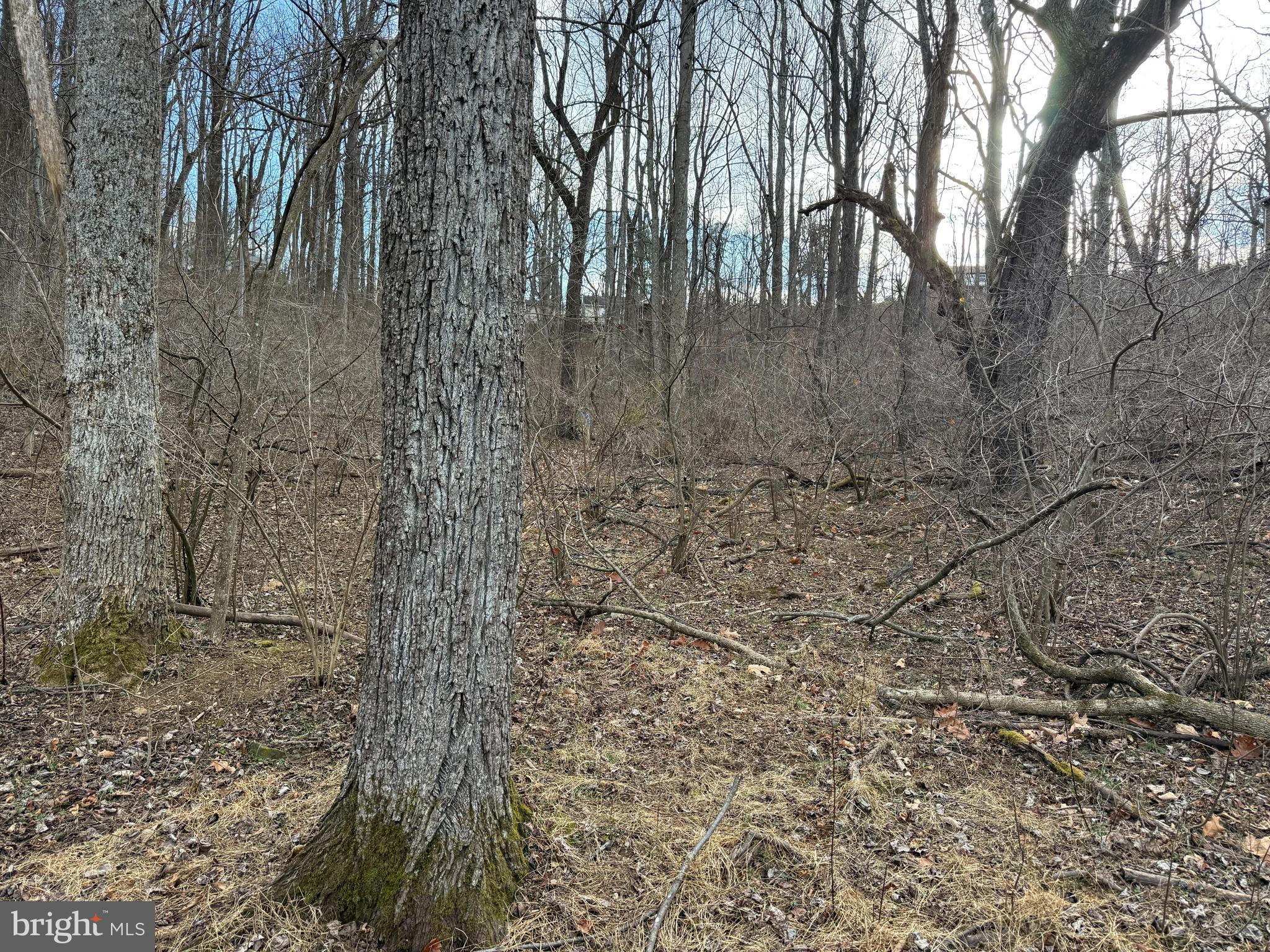 POINT O'WOODS - Residential