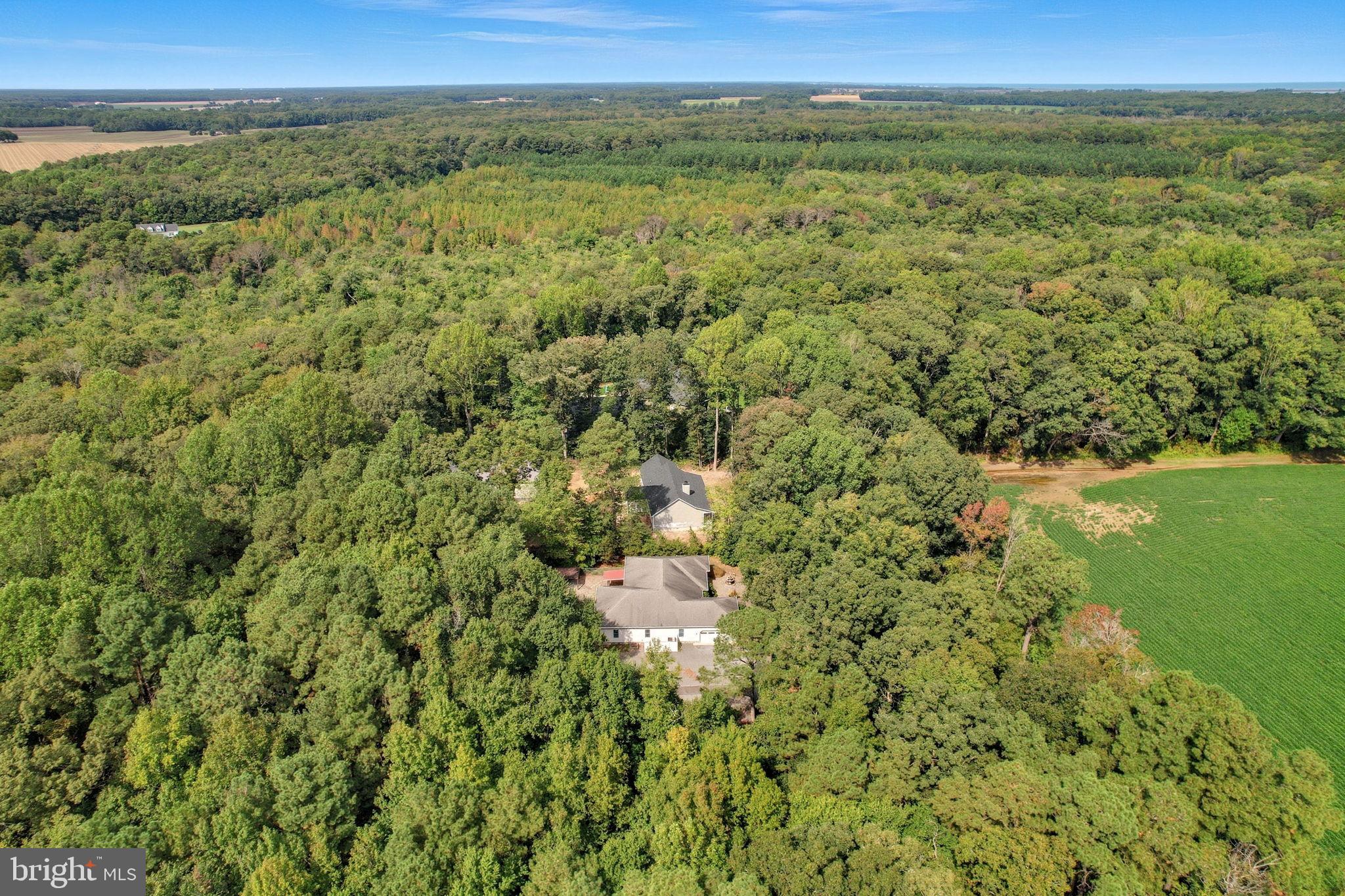 26770 DEEP BRANCH ROAD