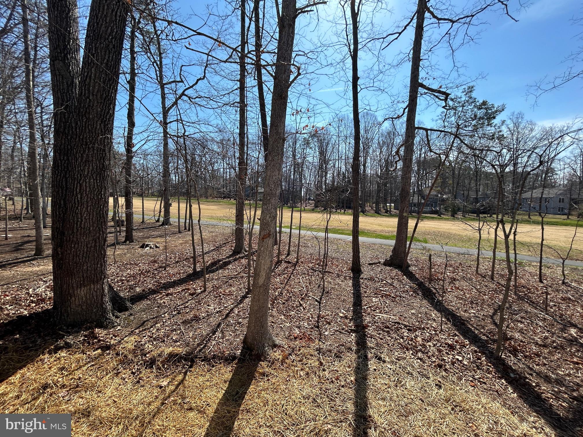 LAKE OF THE WOODS - Residential