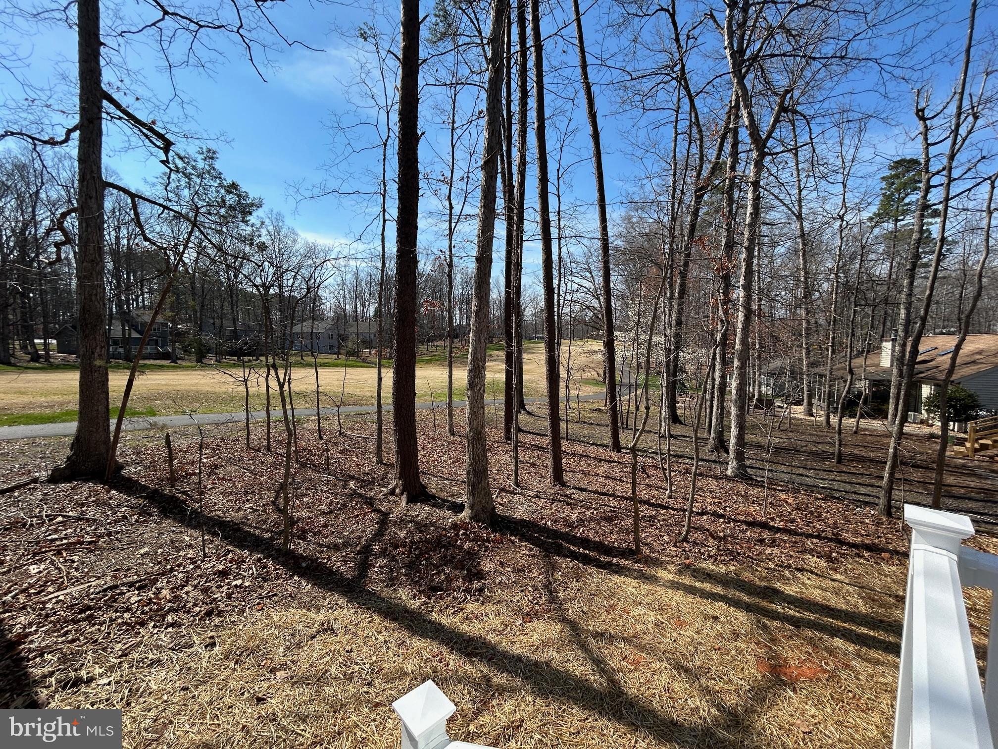 LAKE OF THE WOODS - Residential