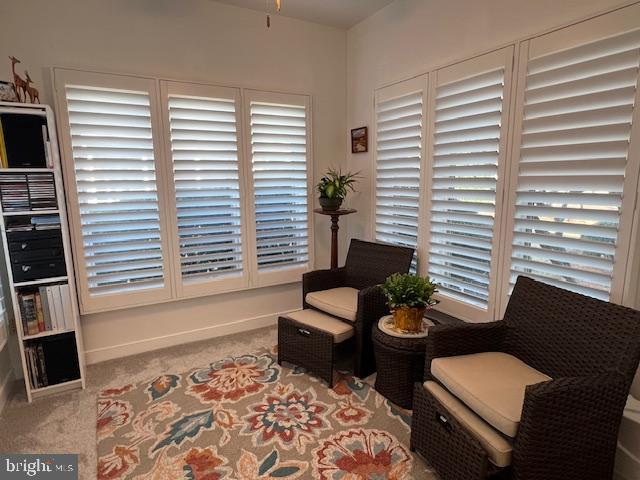 VILLAGE OF CINDERBERRY - Residential