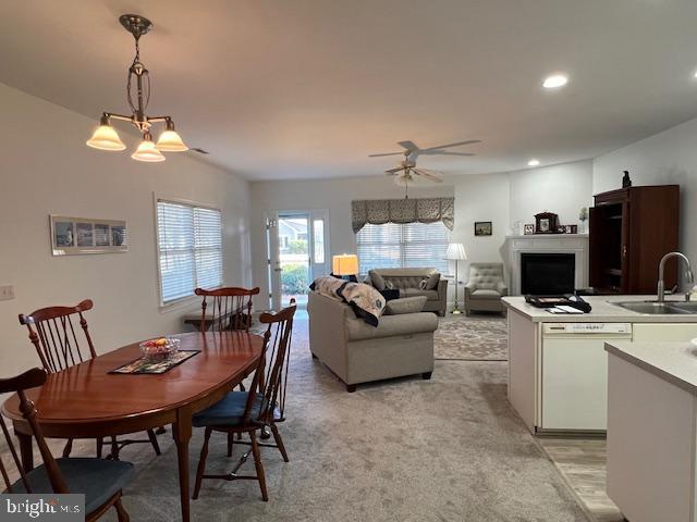 VILLAGE OF CINDERBERRY - Residential