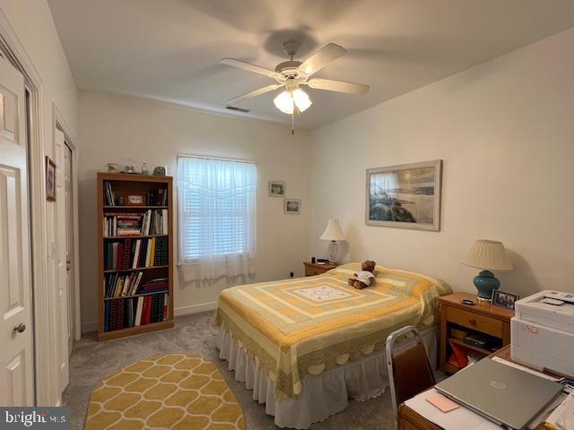 VILLAGE OF CINDERBERRY - Residential