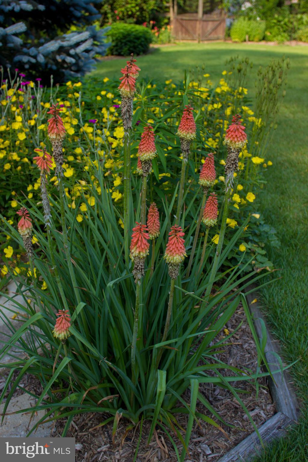 LAKE OCCOQUAN - Residential