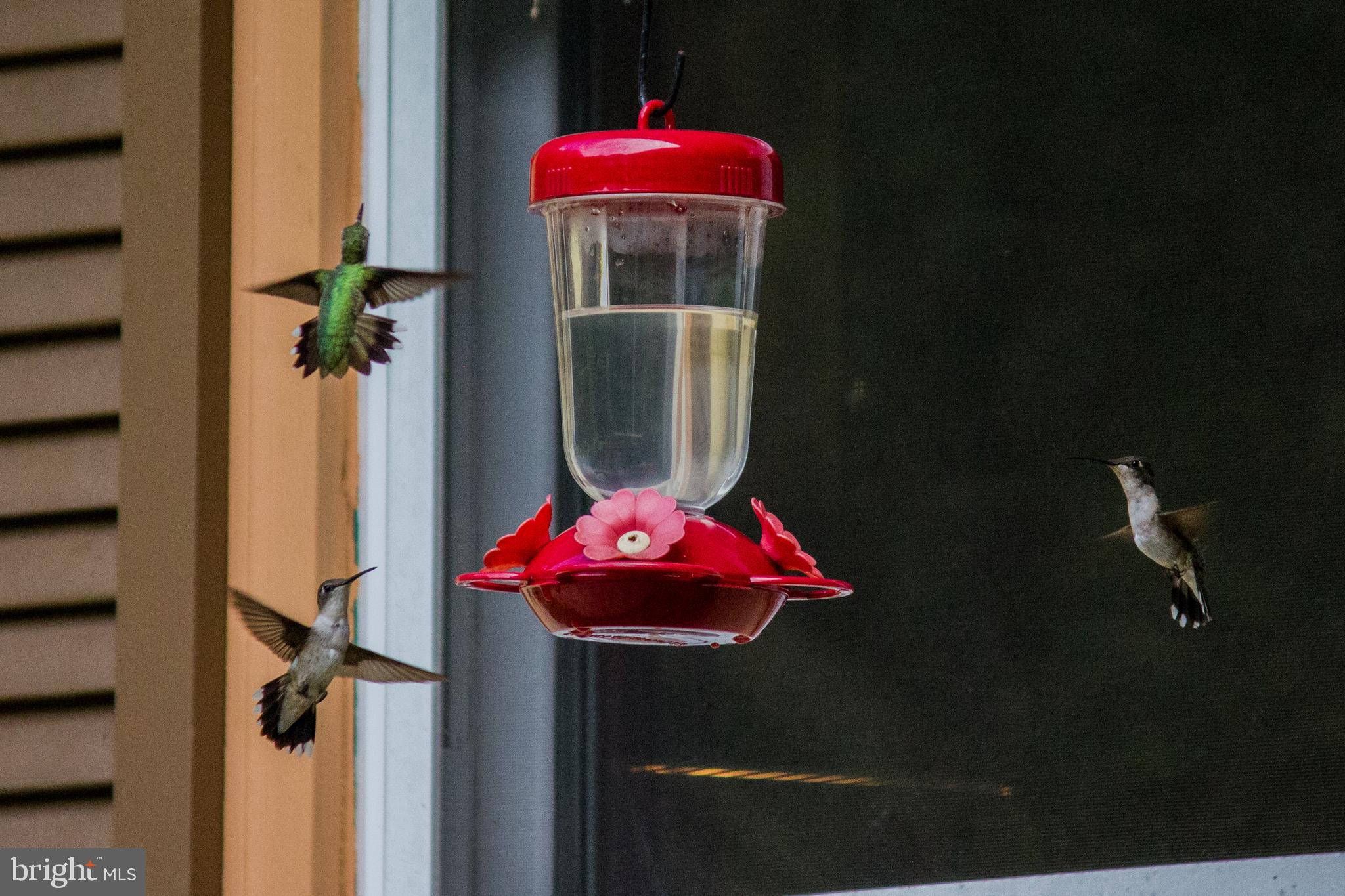 LAKE OCCOQUAN - Residential