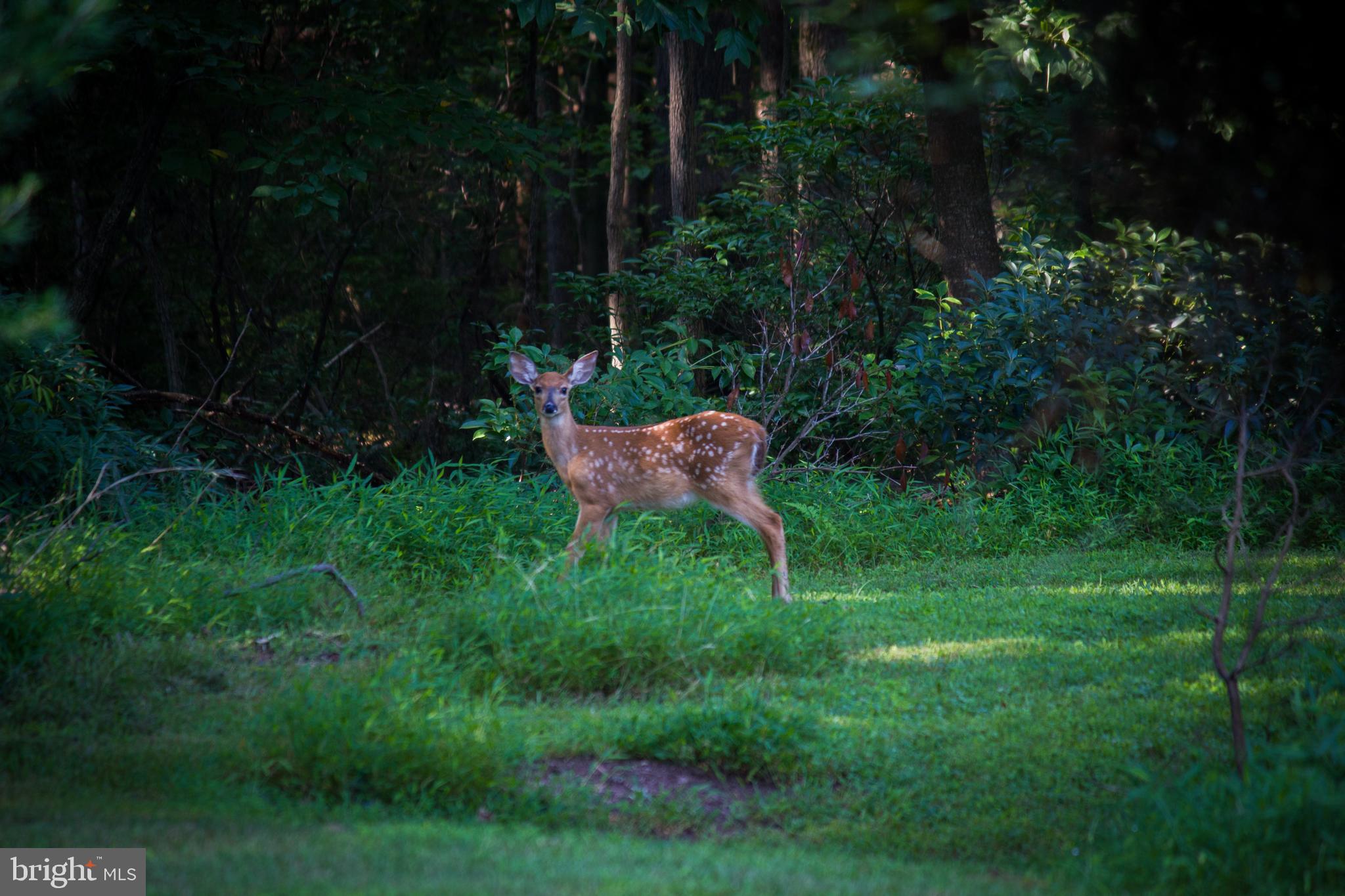 LAKE OCCOQUAN - Residential