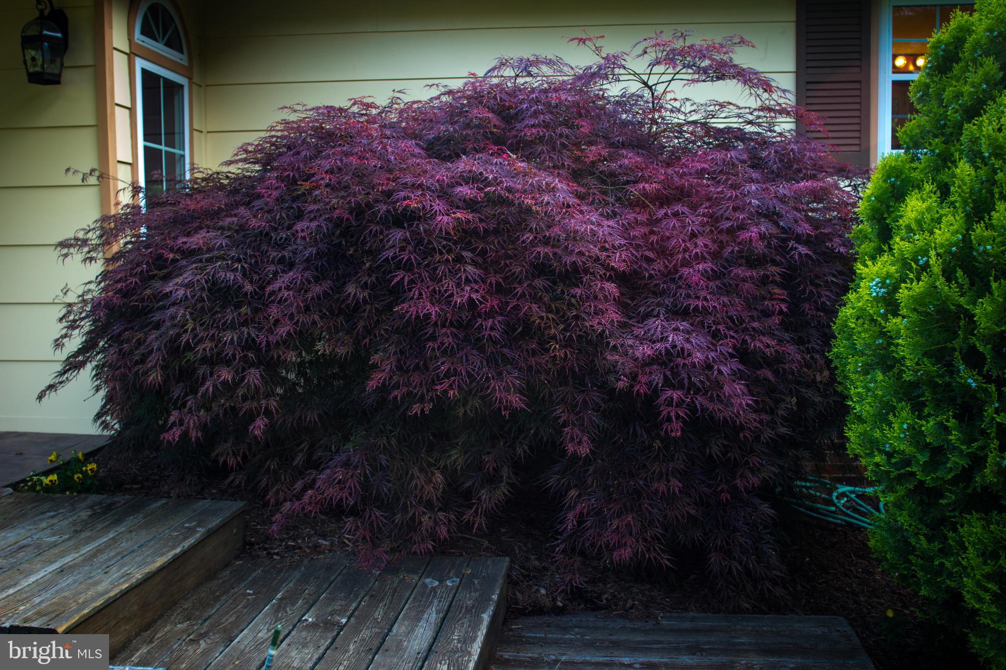 LAKE OCCOQUAN - Residential