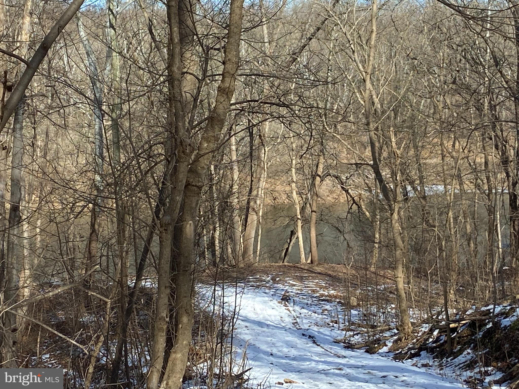 POTOMAC HEIGHTS - Residential