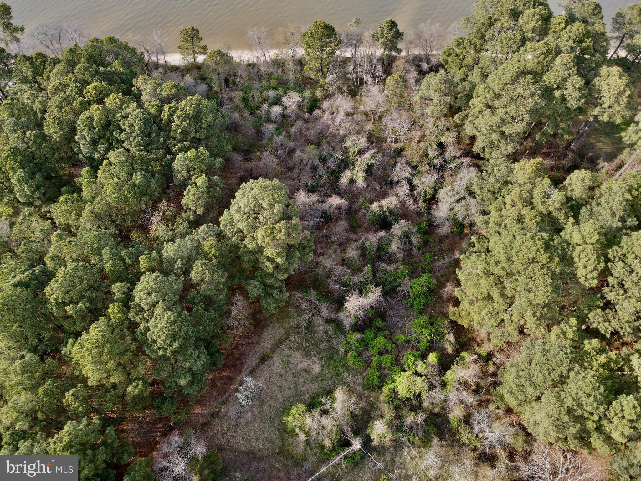 ELLIOTTS ISLAND - Land