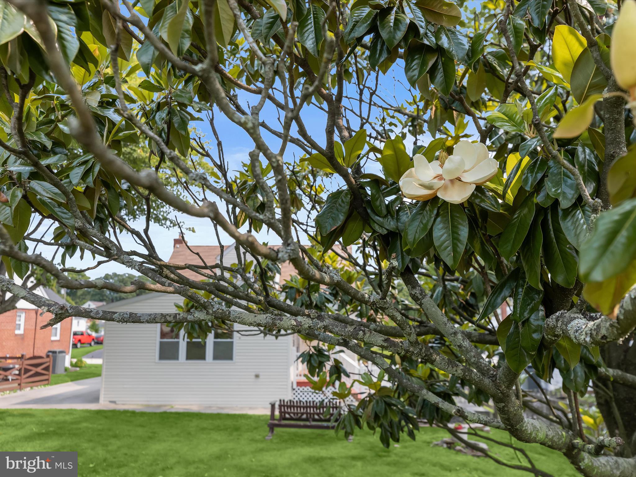 JOPPA VIEW - Residential