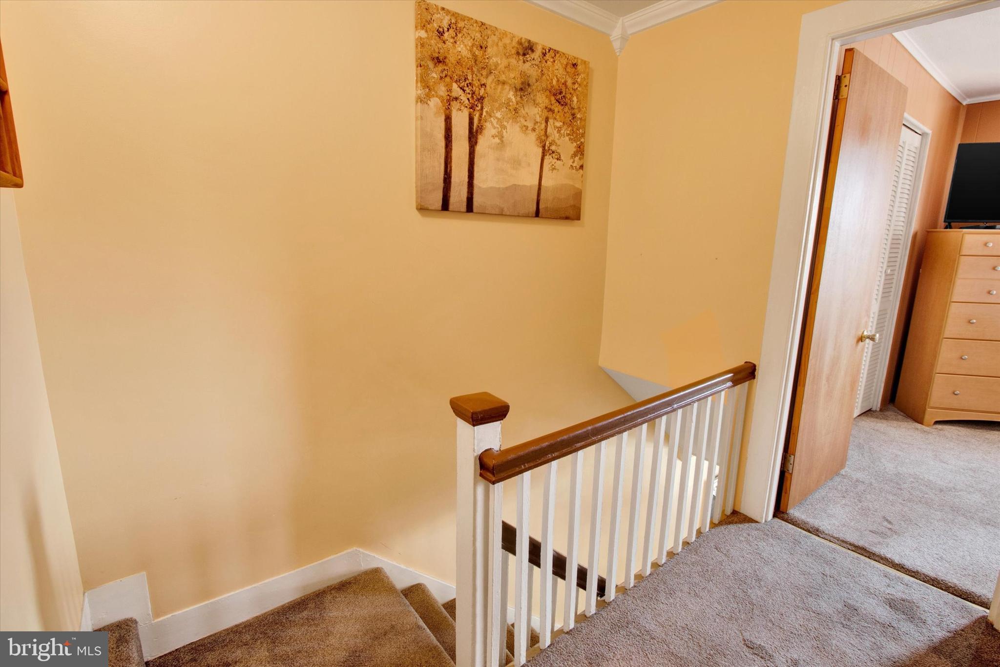 NORTHMONT - Residential