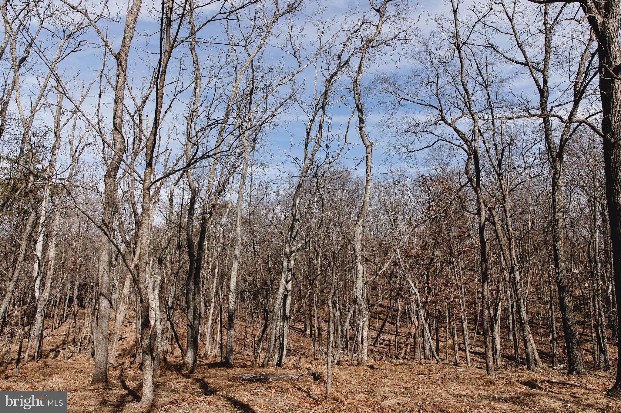 THE WOODS - Residential