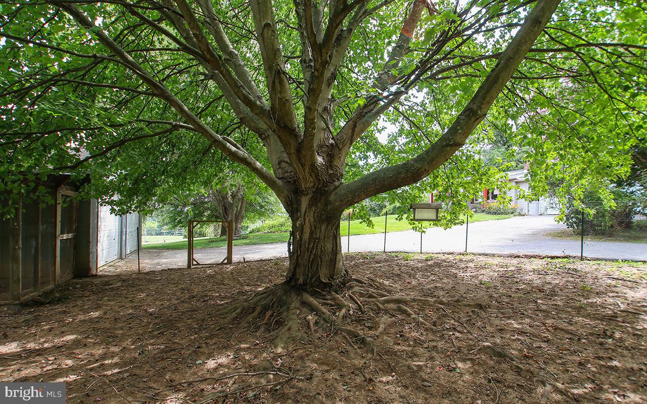 HAMPSTEAD - Residential