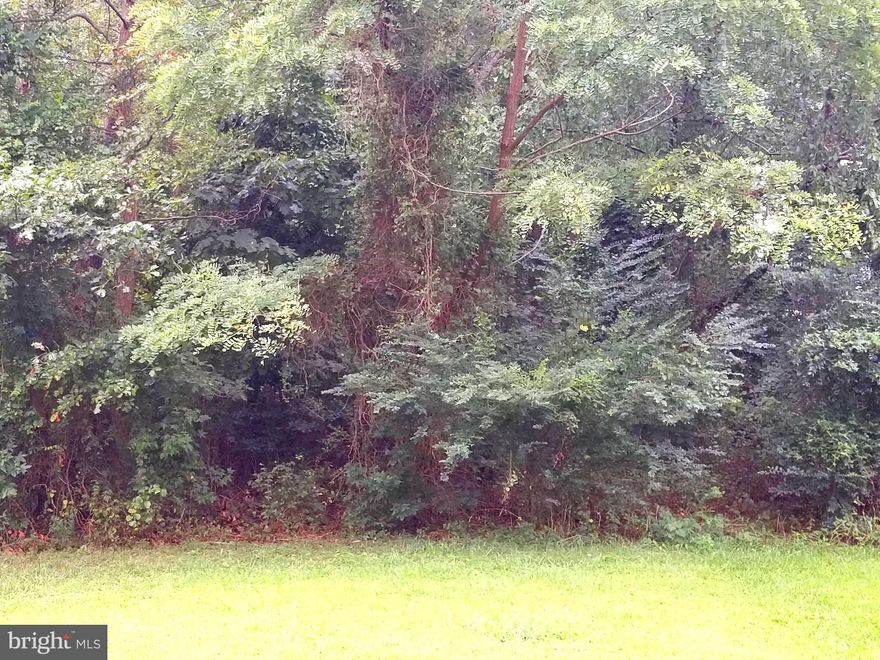 Lot 30. Lot 29 and 31 are also available for sale. Beautiful opportunity to purchase a lot in Bay Quarter Shores Subdivision located in Heathsville, VA. Large lot! Community pool, white sandy beaches, clubhouse, dock, picnic area, tennis courts, pickle ball courts, Boat Ramp and very well maintained boat slips that you can use all year. Camping facilities as well!