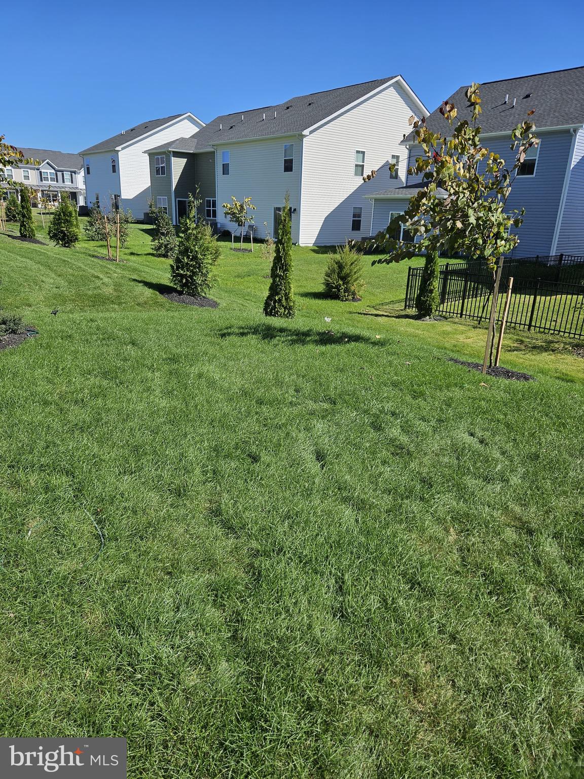 ABRAMS POINTE - Residential Lease