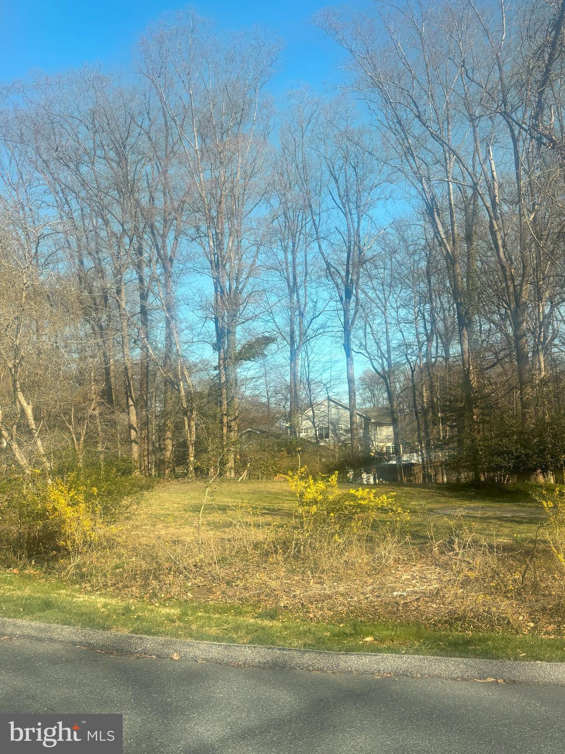 BURNING TREE MANOR - Land