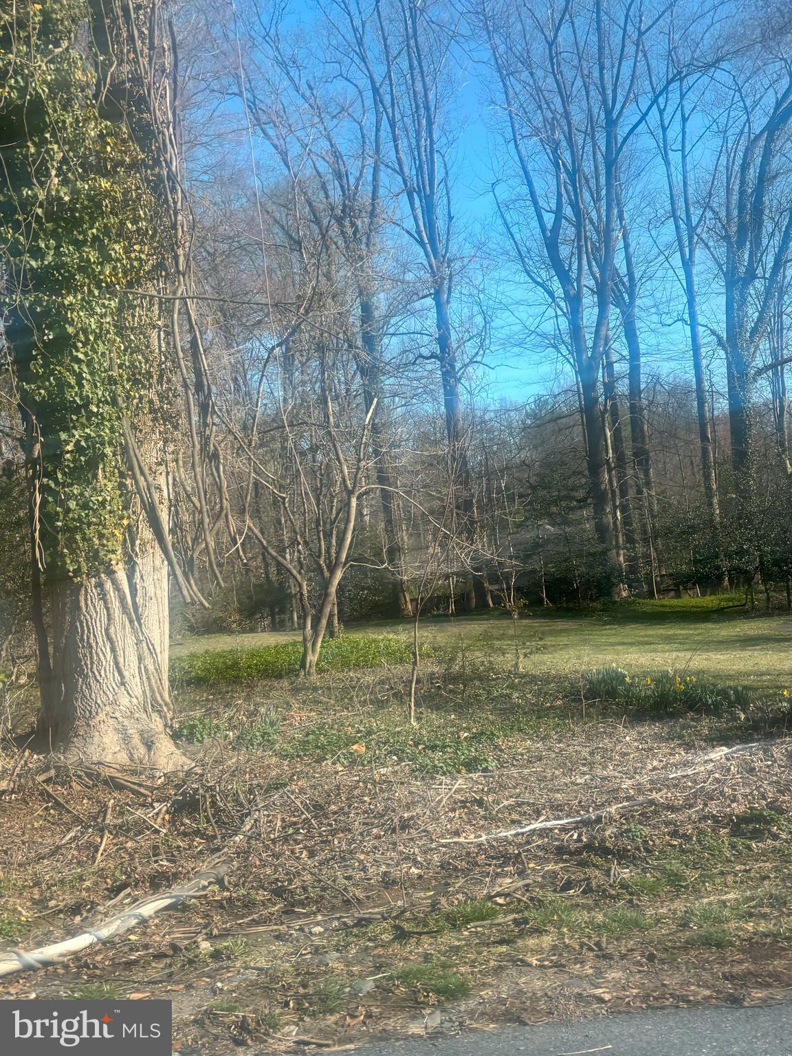 BURNING TREE MANOR - Land